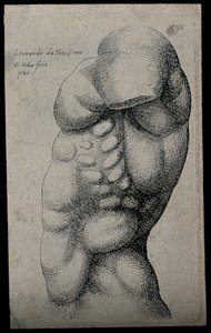 Un Torse Masculin sans Bras - Leonardo da Vinci